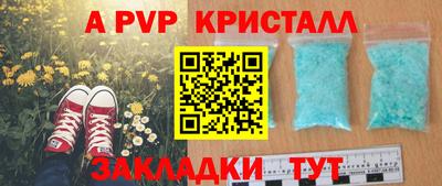 PSILOCYBIN Канаш